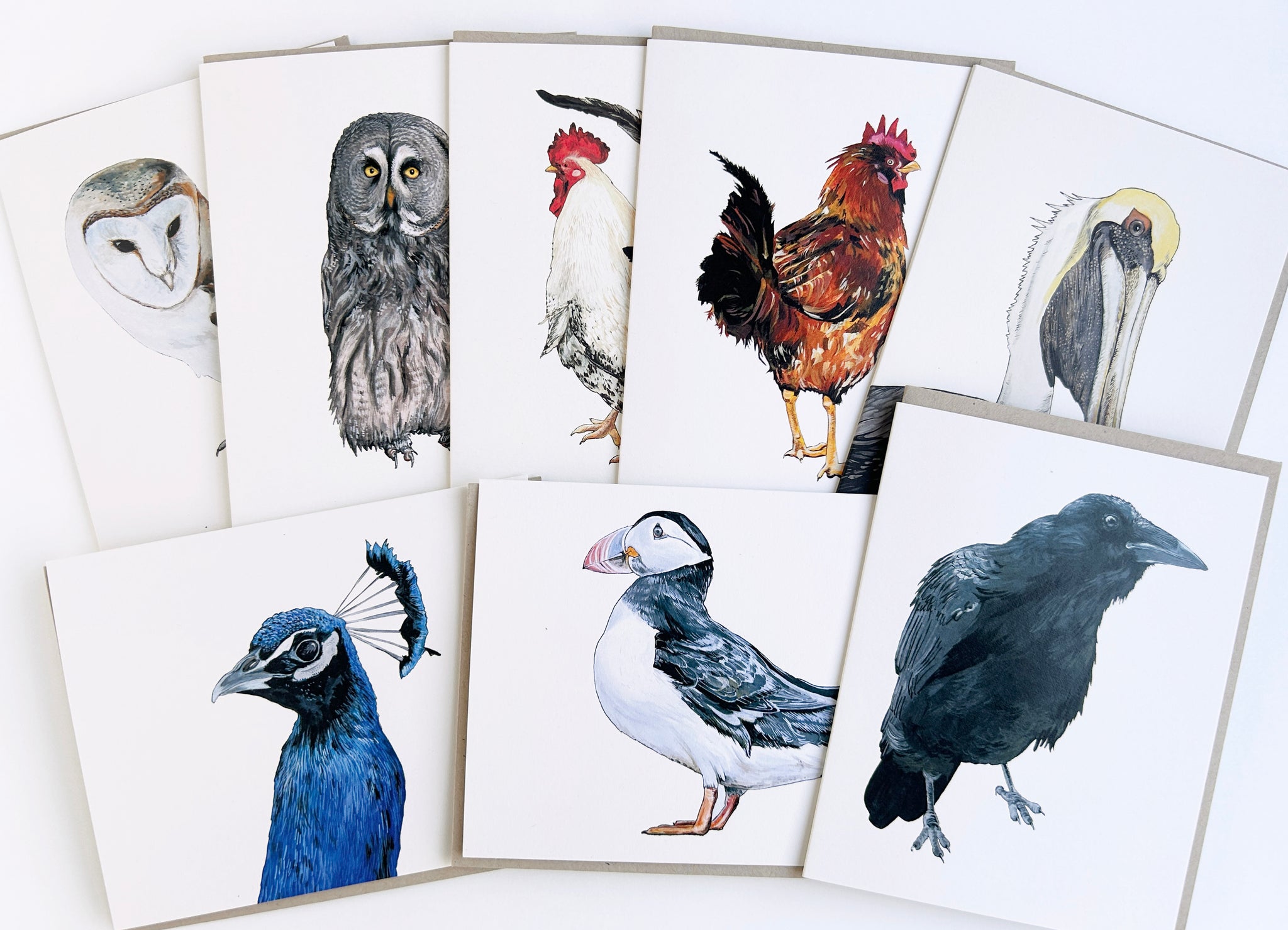 Bird 8 Card Set